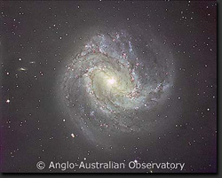 Image Provided By Anglo-Austrailian Observatory