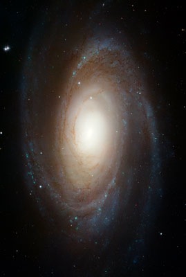 Optical Image of M81