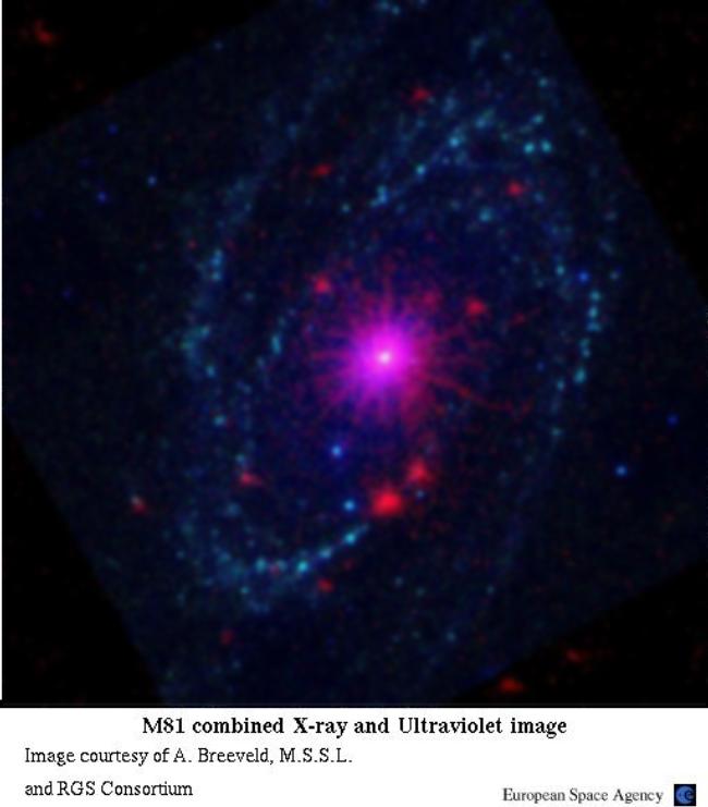 X ray and ultraviolet image of galaxy M81