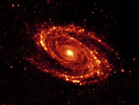 IR Image of M81