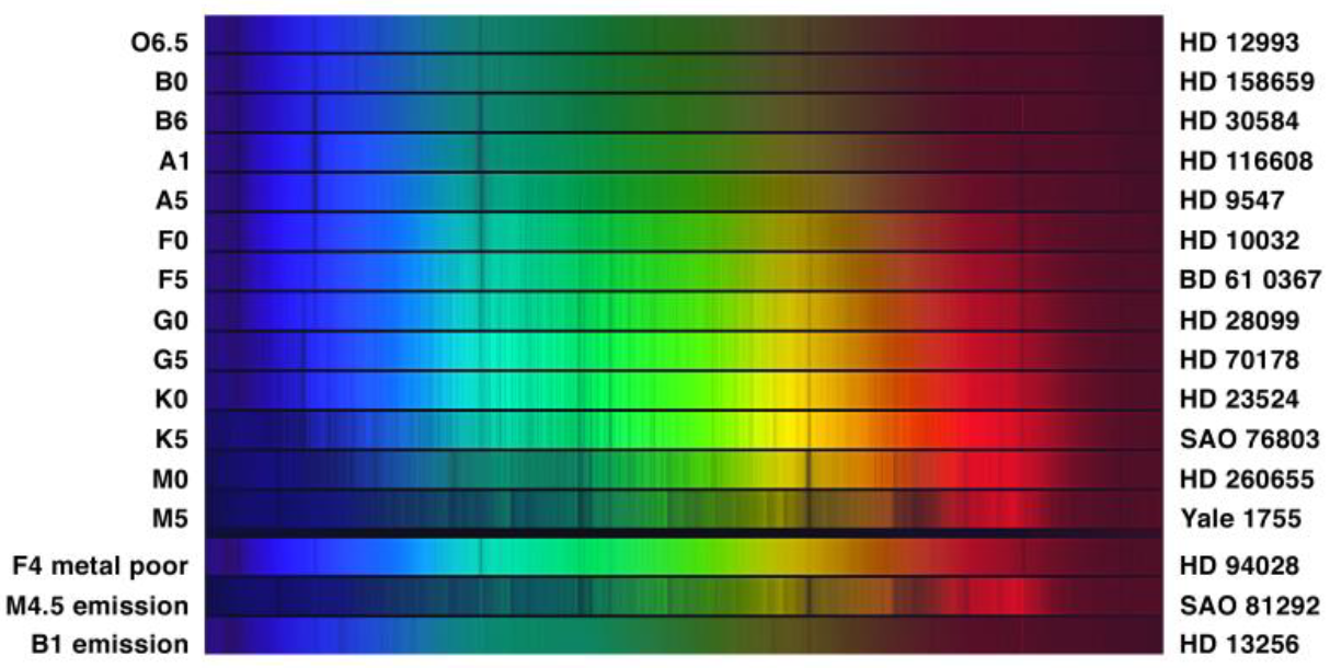 Light spectra for types of main sequence stars, graphically showing the absorption lines characteristic of each type.