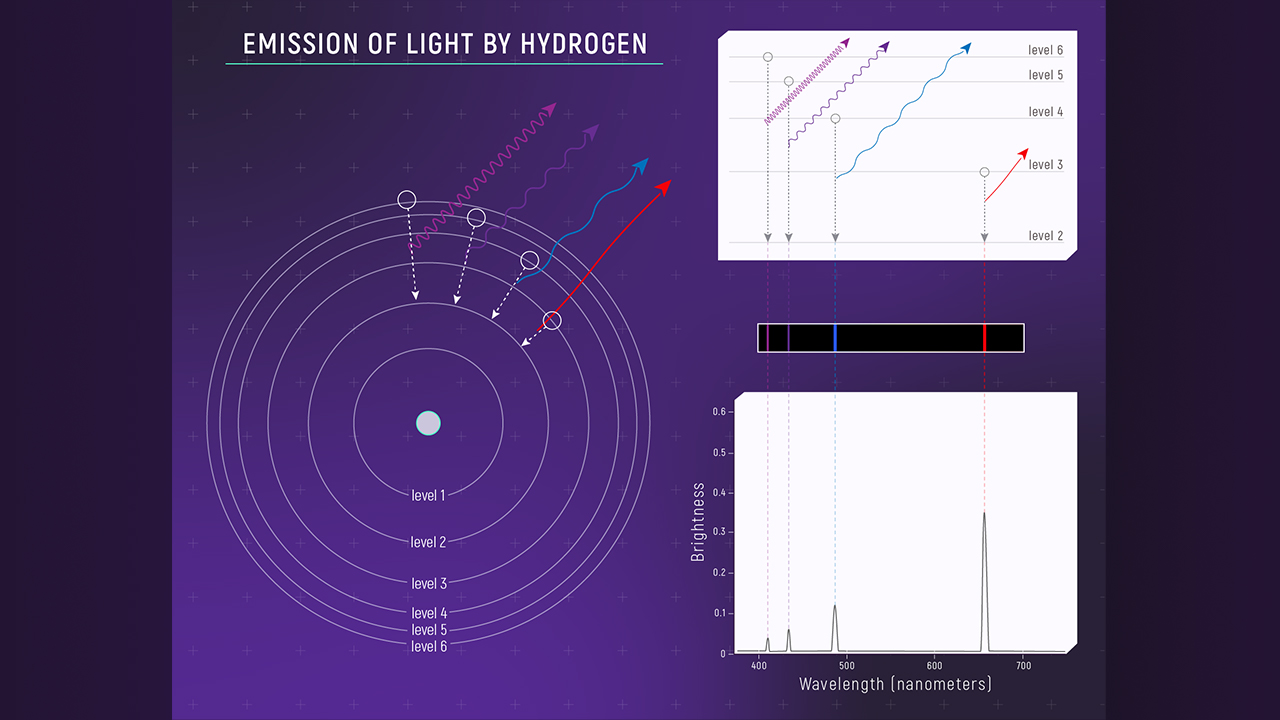  This figure depicts the energy levels in a hydrogen atom. The electron in hydrogen can have any of these levels, but no others. In general, the electron will occupy the lowest energy available, which is the ground state, not shown in this diagram. This figure shows the bottom few levels that produce the visible light spectral lines in hydrogen, and these all involve the first excited state of the atom.